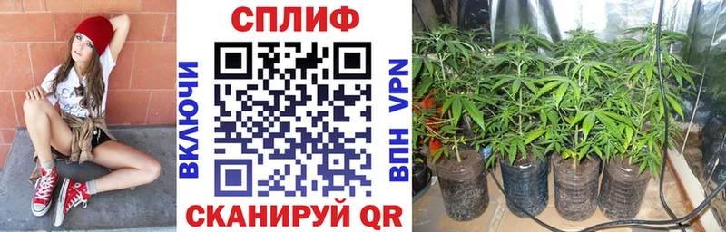 Где купить наркоту Юрьев-Польский СОЛЬ АМФ Меф ГАШ Канабис