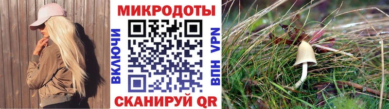 Псилоцибиновые грибы Psilocybine cubensis Юрьев-Польский